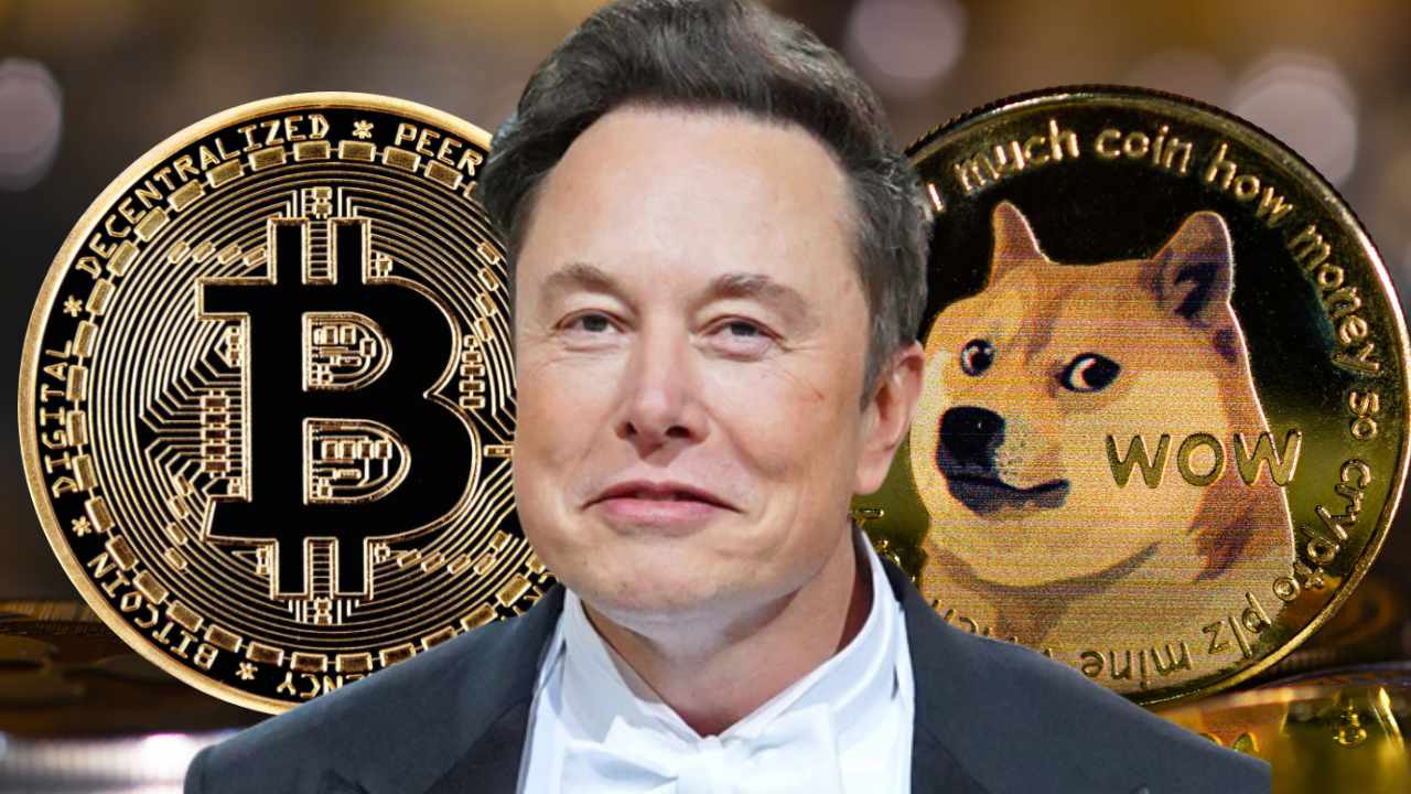 Dogecoin Kebakaran Bitcoin Sentuh Angka