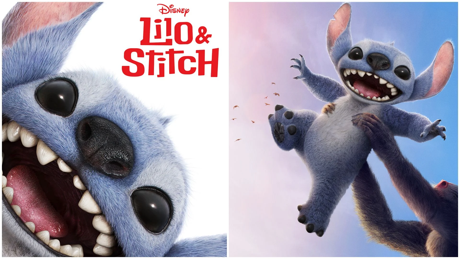 Lilo Stitch 2025 temp