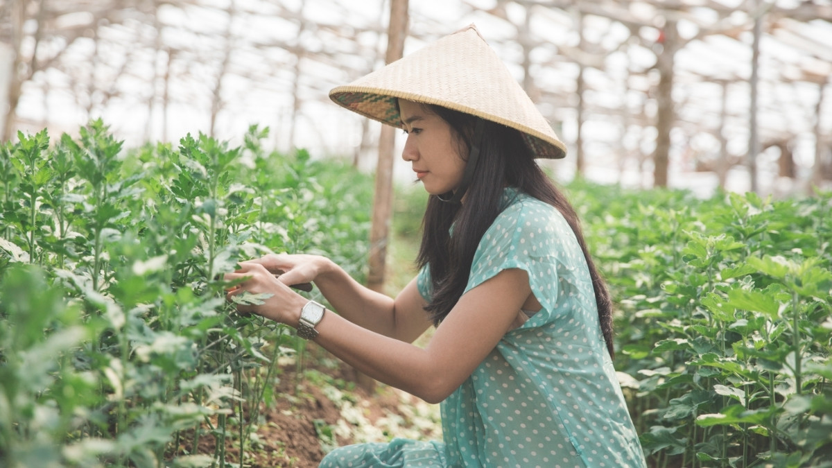 manfaat berkebun