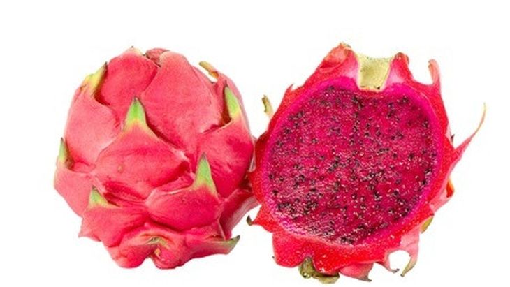buah naga