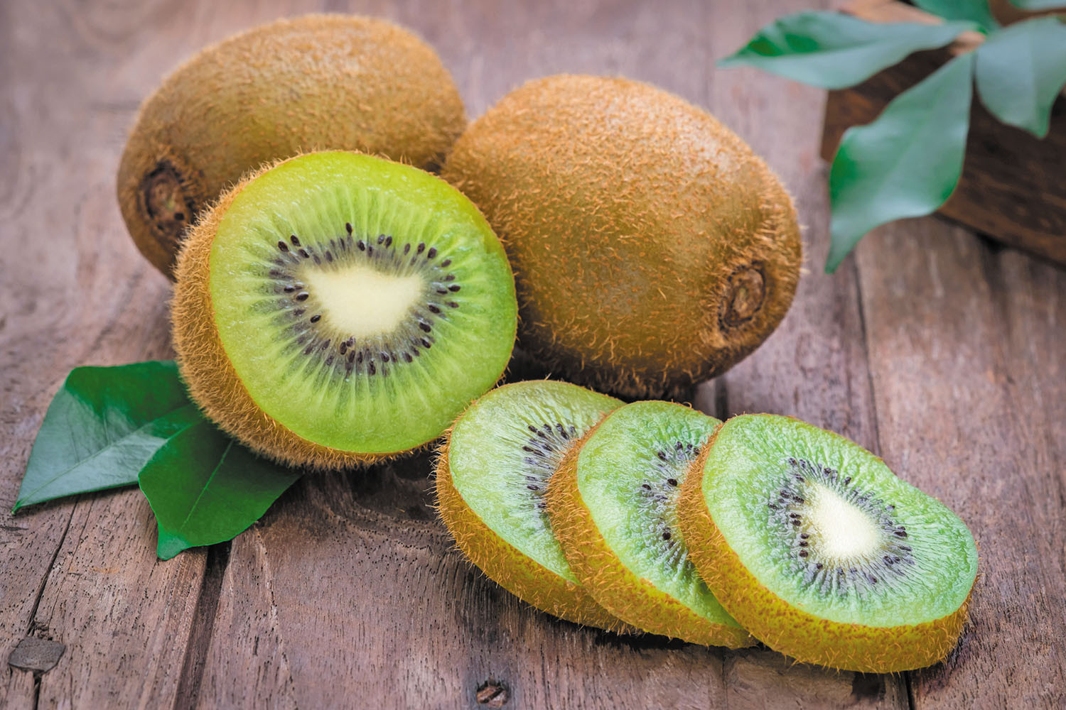 buah kiwi