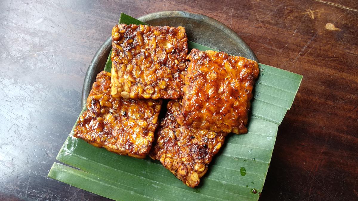 tempe bakar
