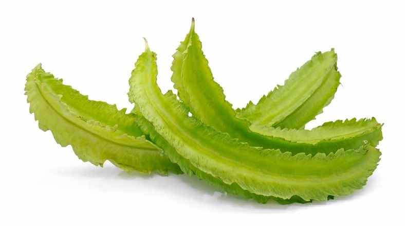kecipir fermentasi