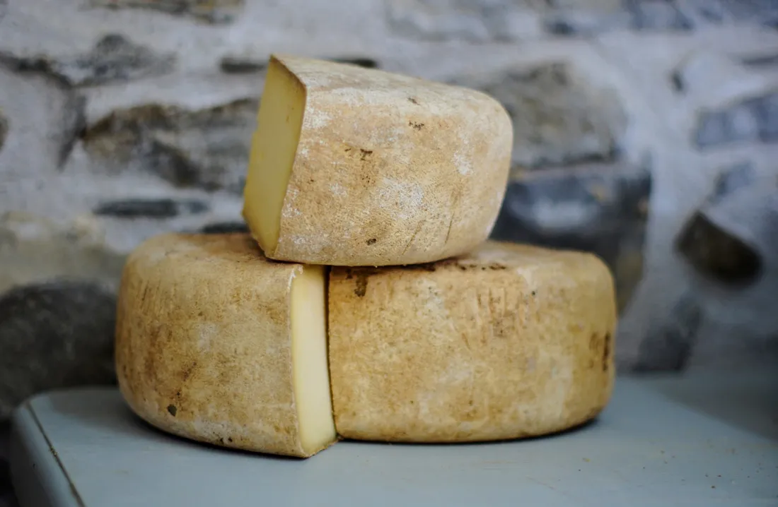 fermentasi
