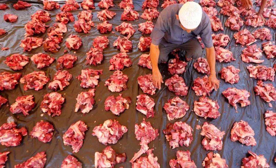 Berapa Banyak Daging Kurban Aman Dikonsumsi temp